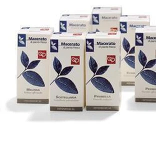 SCUTELLARIA TM 100ML