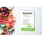 Sanohepatic COLESTEROL Plus, 60 comprimidos recubiertos con película, Zdrovit