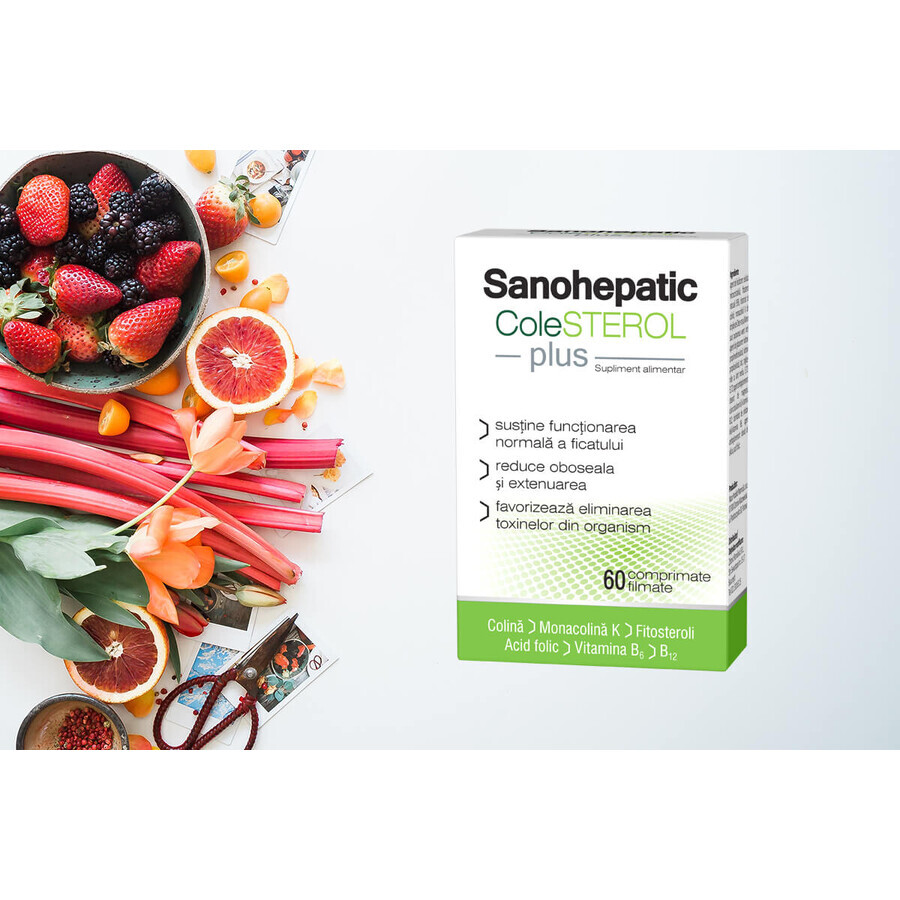 Sanohepatic COLESTEROL Plus, 60 comprimidos recubiertos con película, Zdrovit