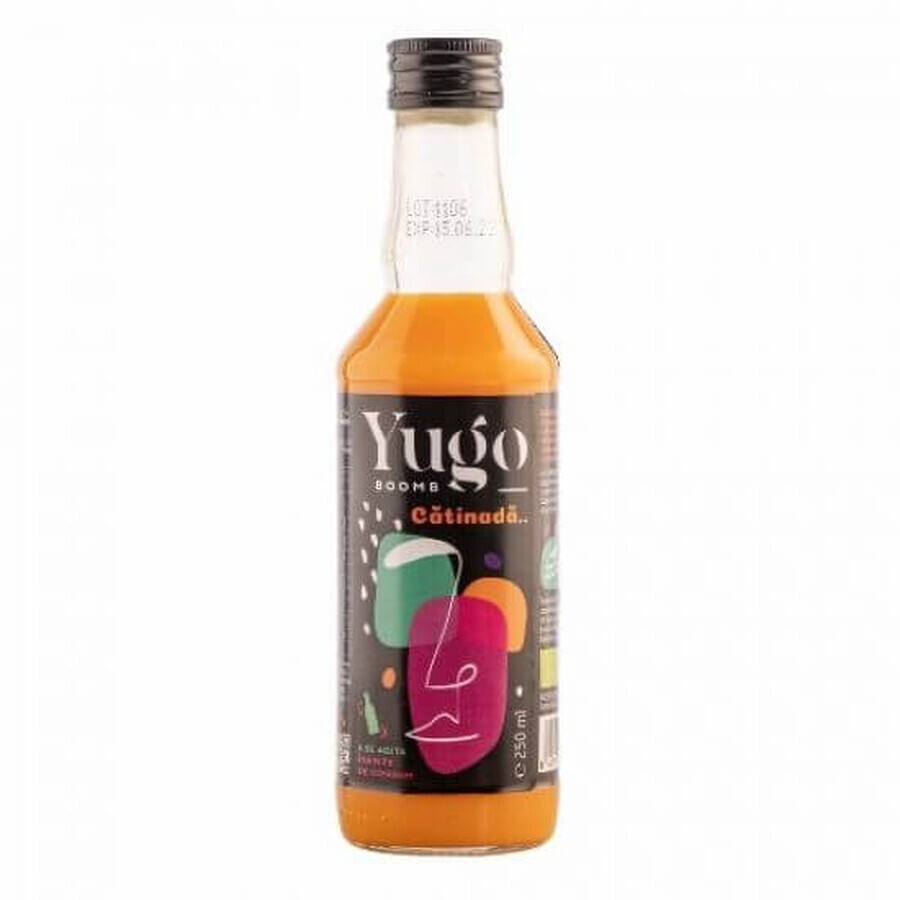 Zumo de sandía ecológico Yugo, 250 ml, Elgeka