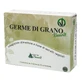 WHEAT GERM BENOIT 60CPR