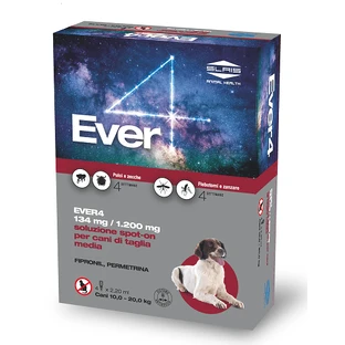EVER 4*4PIP 2.20ML 134+1200MG