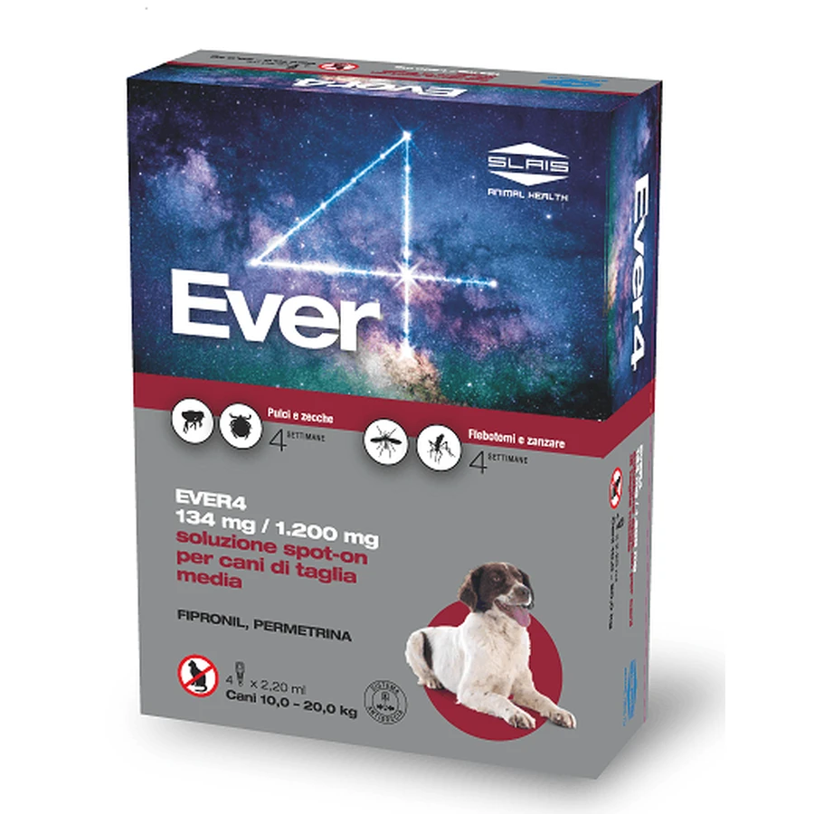 EVER 4*4PIP 2.20ML 134+1200MG