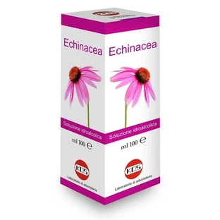 ECHINACEA PLANTĂ SOL IALĂ FR100