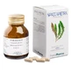Spaccapietra 50 Capsule