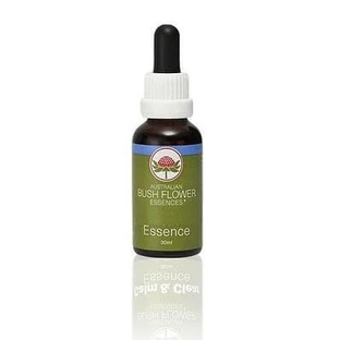 She Oak Essence 15 Ml 1 Piece