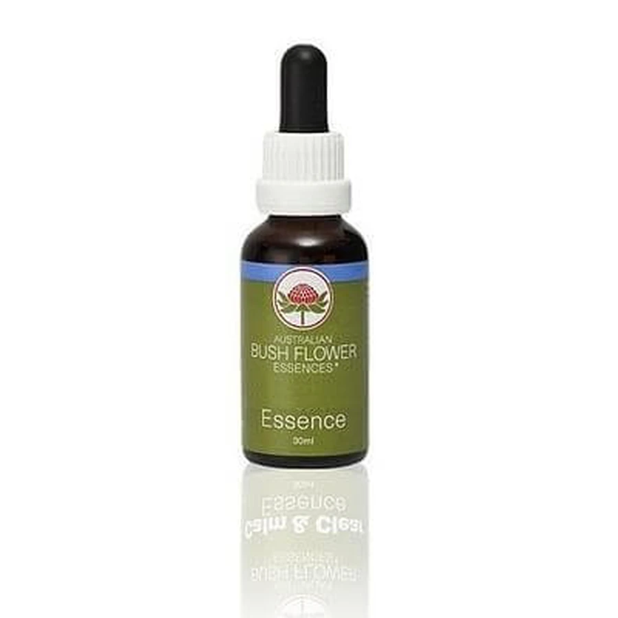 She Oak Essence 15 Ml 1 Piece
