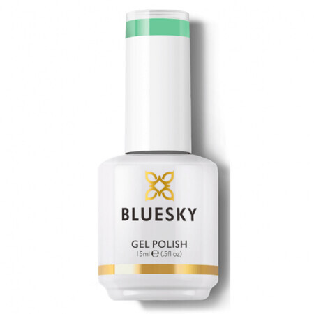 Smalto semipermanente UV Bluesky You Rule You Wish 15ml