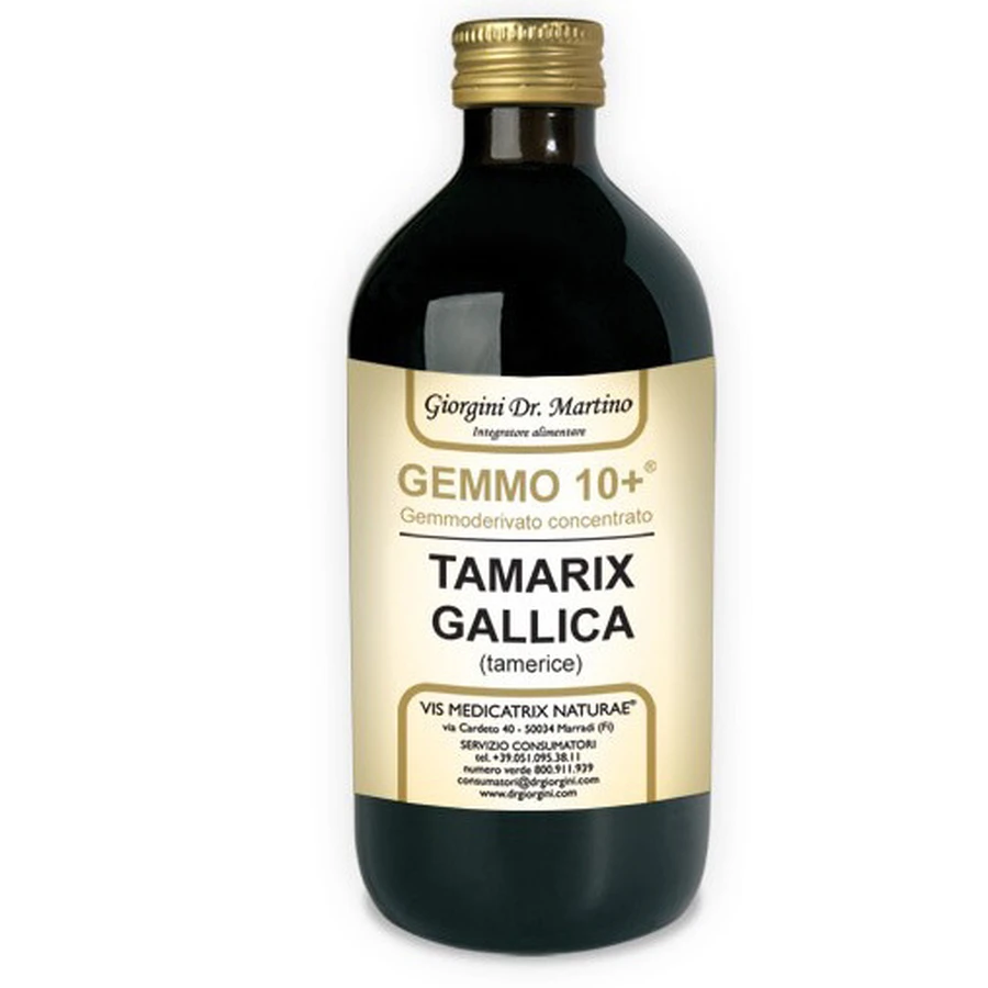 Tamerice 500ml fără alcool Gemmo 10+ Giorgini