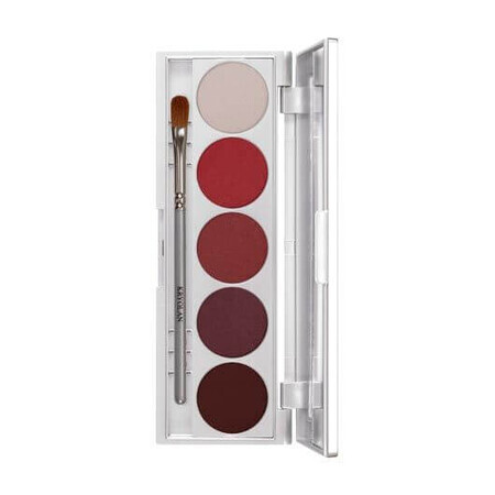 Paleta de maquillaje de 5 colores Kryolan SHAdeS TOKYO/10G