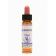 AGRIMONY ESS 10ML INGL IERBURI