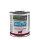 Vet Life Câine Gastrointestinal 300 G