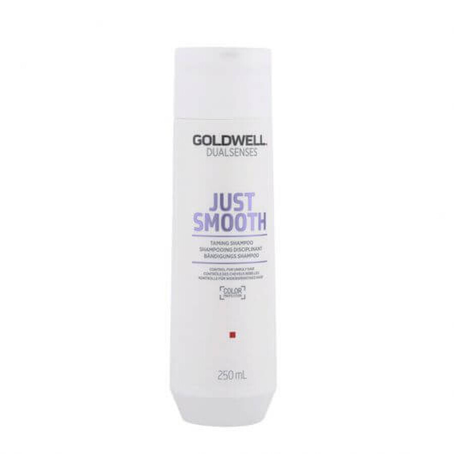 Goldwell Dualsenses Just Smooth Shampoo 250ml 