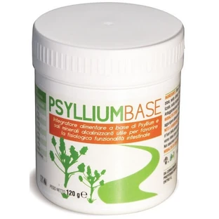 Psyllium Base Polvo 120g