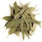 Eukalyptus-Kräutertee mit ganzen Blättern 100 g
