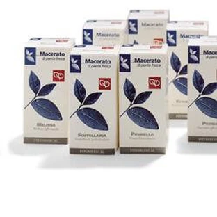 PEONÍA 50ML TM FTM