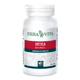 Pokrzywa 60 kapsułek 400mg Erbavita
