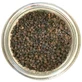 Poivre de forêt Mascareigne Fruits en
