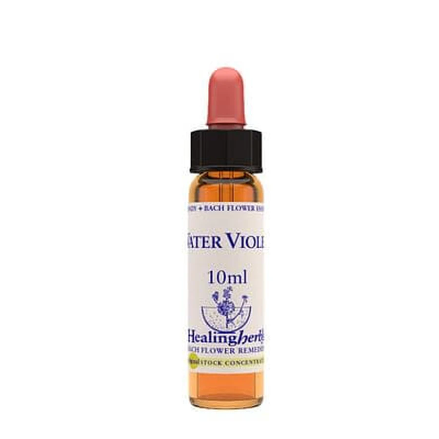 Water Violet Essenza 10 Ml 1 Pezzo