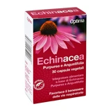 Equinácea 30Cápsulas vegetales
