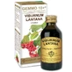 VIBURNUM LICHID NEALCOOLIC 100ML GIORGINI