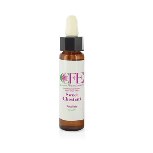 Sweet Chestnut Cfe Stock Sticlă 10ml