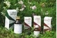 RAEMIL ACEITE DE ONAGRA 25ML