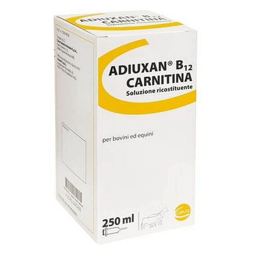 Adiuxan B12 Carnitine Intraveineuse Intramusculaire Sous-cutanée 1 Flacon 250 Ml