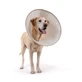 KVP ELIZABETHAN BIODEGRADABLE MEJOR COLLAR TG. "L" 25-38 CM