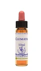 Esencia Clemátide 10 Ml 1 Pza