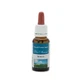 MELOCOTÓN FLOR ITALIANA 20ML (SUBST