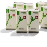BRZOZA PUBESC 50ML MG FTM