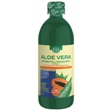 ESI ZUMO DE ALOE VERA PAPAYA SAM