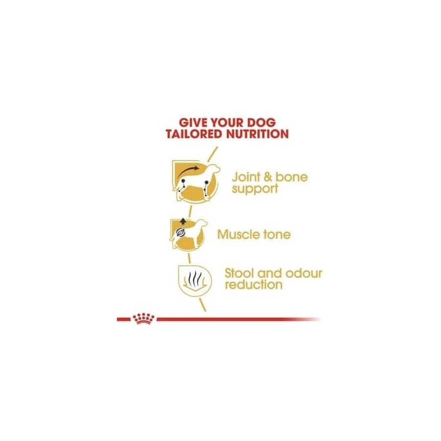 Royal canin Mini adult dachshund adult - complete food for adult dachshund breed dogs 1.5 kg