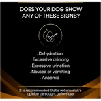Purina proplan diet nf renal function - alimento dietetico completo per cani adulti con problemi renali e urinari 12 kg