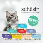 Schesir Complete nutrition fillets in jelly tuna with salmon - complete cat food 6x 50 gr