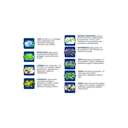 Vet line Health dog deer and potatoes - complete food for elderly, obese or intolerant dogs 400 gr