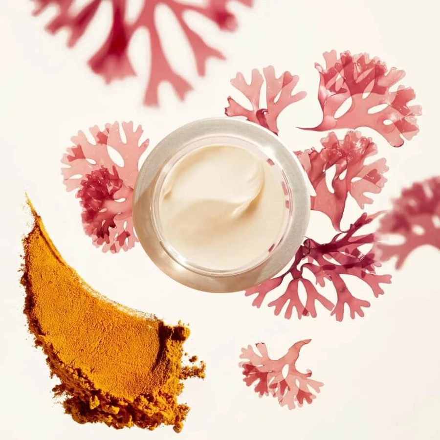 Shiseido Benefiance rimpel gladmakende dagcrème spf25 - anti-rimpel dagcrème 50 ml