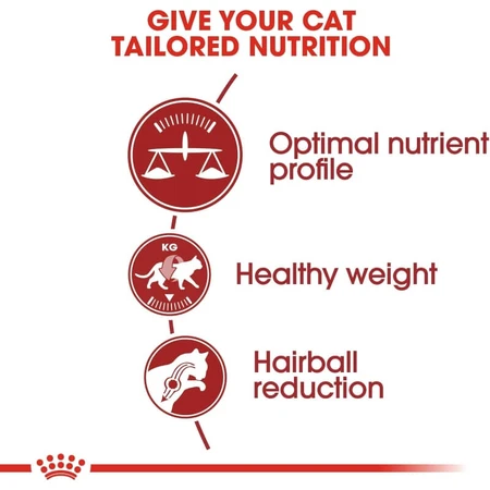Royal canin Fit 32 - alimento completo para gatos domésticos 10 kg
