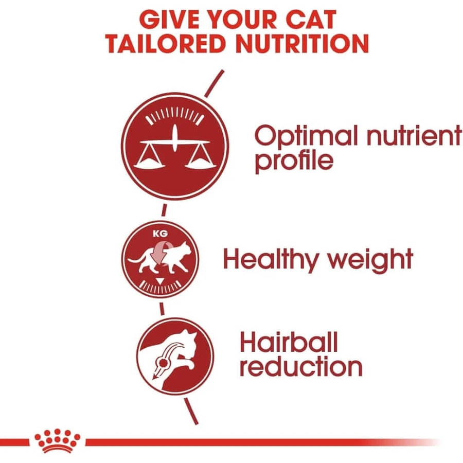 Royal canin Fit 32 - alimento completo para gatos domésticos 10 kg
