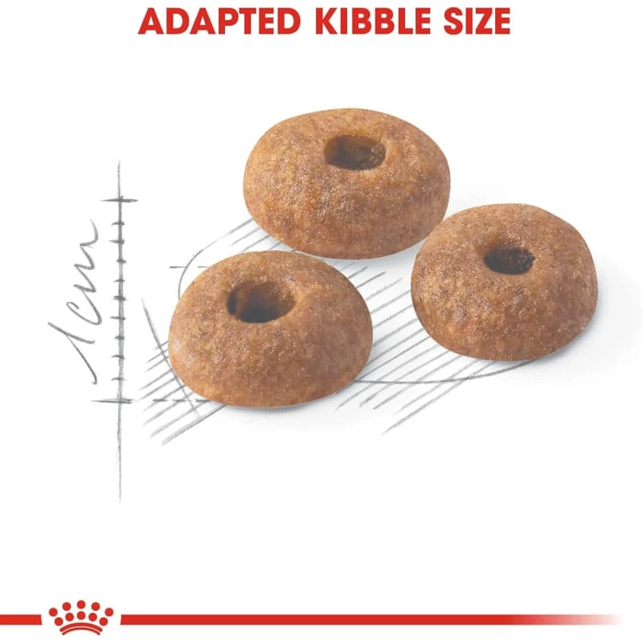 Royal canin Fit 32 - alimento completo para gatos domésticos 10 kg