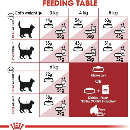 Royal canin Fit 32 - alimento completo para gatos domésticos 10 kg