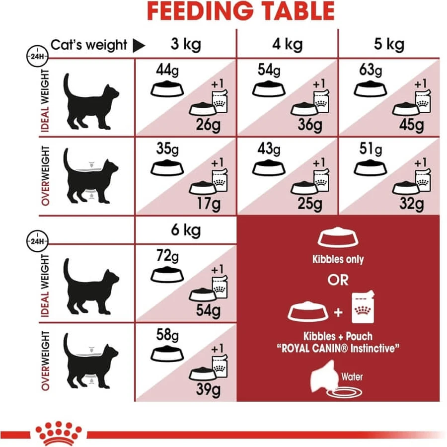 Royal canin Fit 32 - alimento completo para gatos domésticos 10 kg