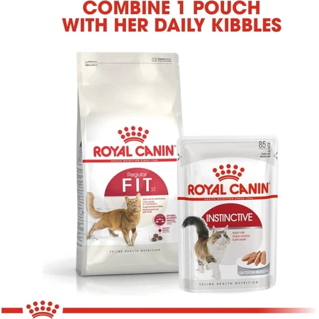 Royal canin Fit 32 - alimento completo para gatos domésticos 10 kg