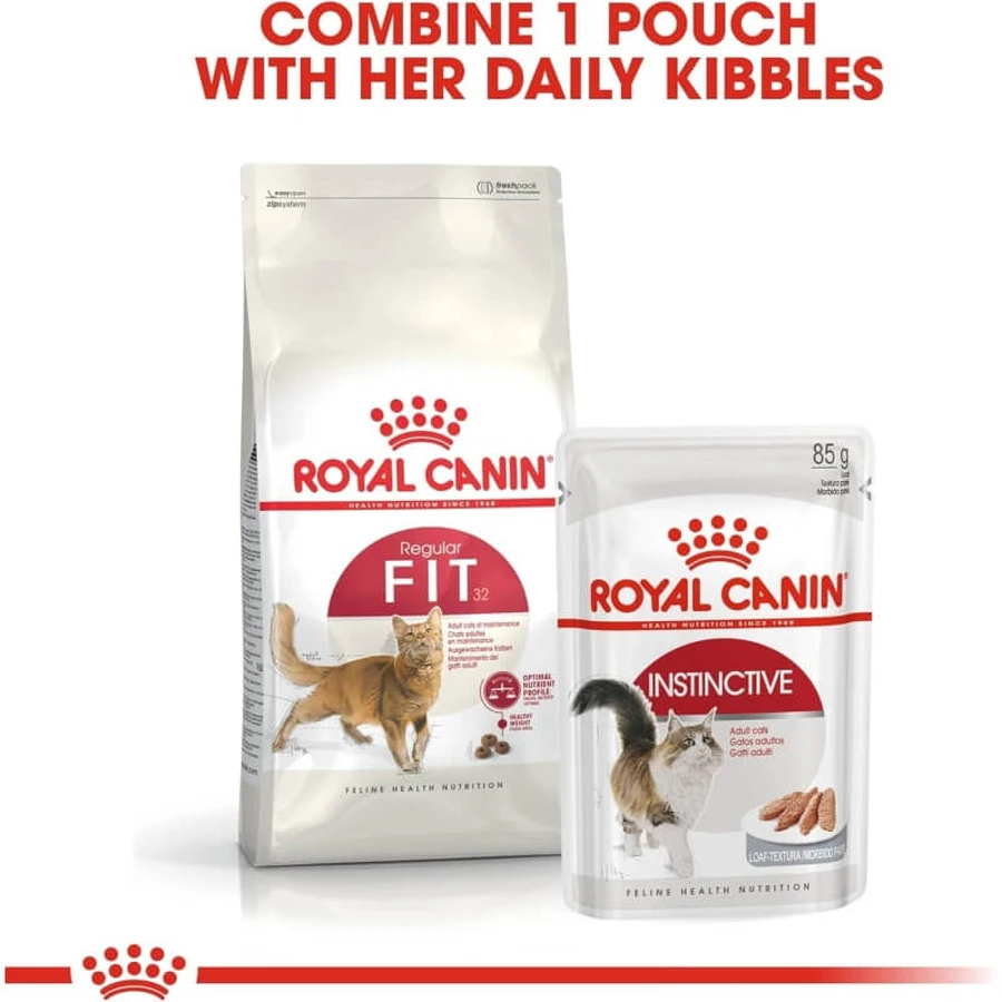 Royal canin Fit 32 - alimento completo para gatos domésticos 10 kg