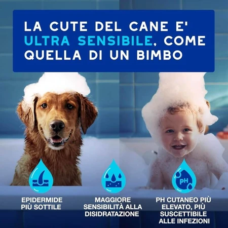 Ceva animal health Douxo spa skin &amp; coat - ceruminolytische oorreiniger 120 ml