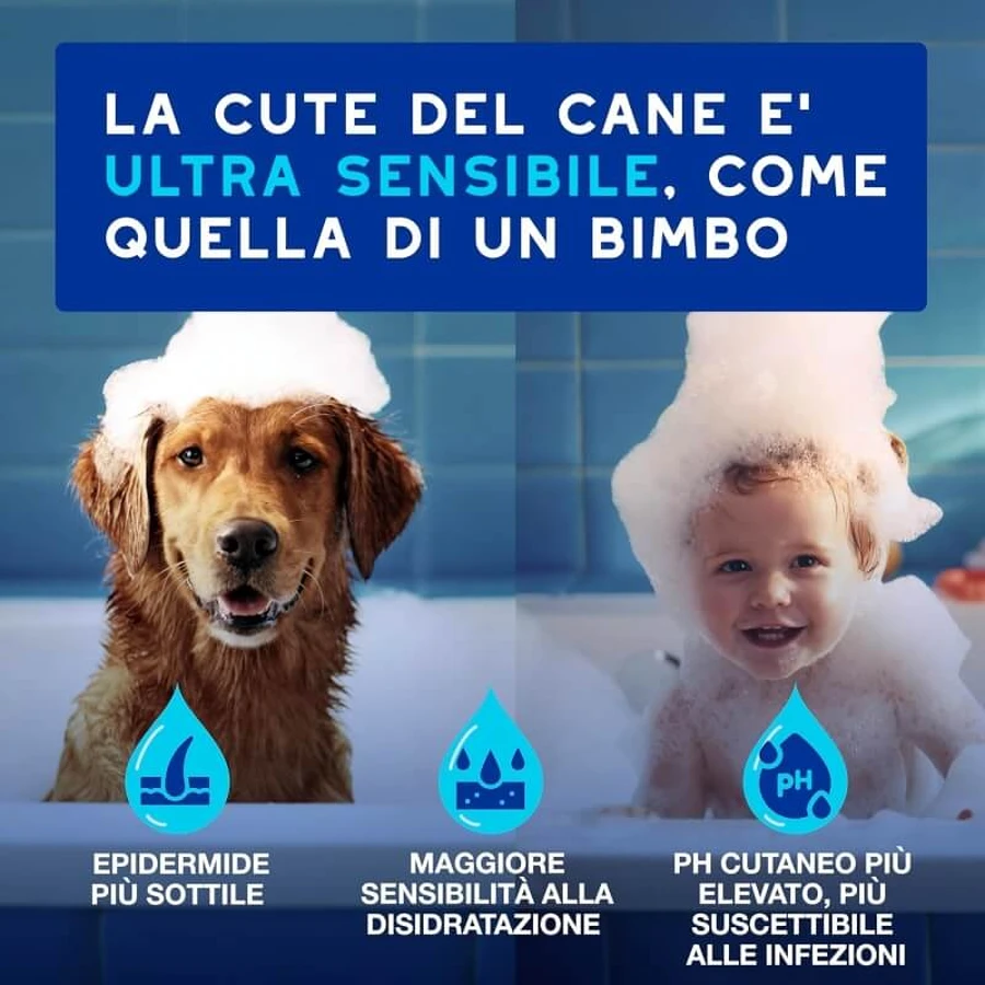 Ceva animal health Douxo spa skin &amp; coat - ceruminolytische oorreiniger 120 ml