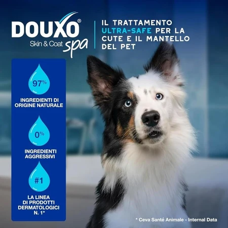 Ceva animal health Douxo spa skin &amp; coat - ceruminolytische oorreiniger 120 ml