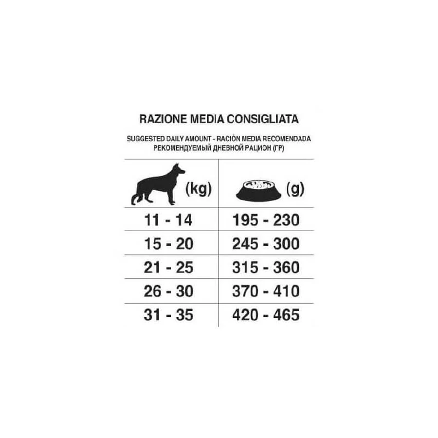 Forza10 Maintenance medium adult with deer with potatoes - aliment complet pour chiens 2 kg