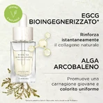 Elizabeth arden white tea skin solutions wzmacniające dwufazowe serum olejowe - serum do twarzy 30 ml: ceny i cechy